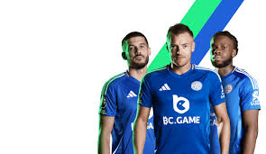 Experience Excitement at BC.Game Casino MG 13